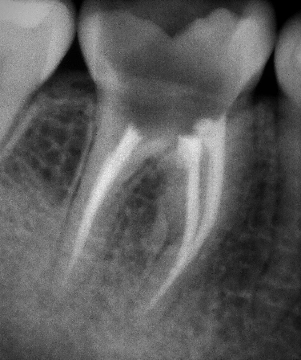 Ricardo Isaac Gutierrez Salinas-1