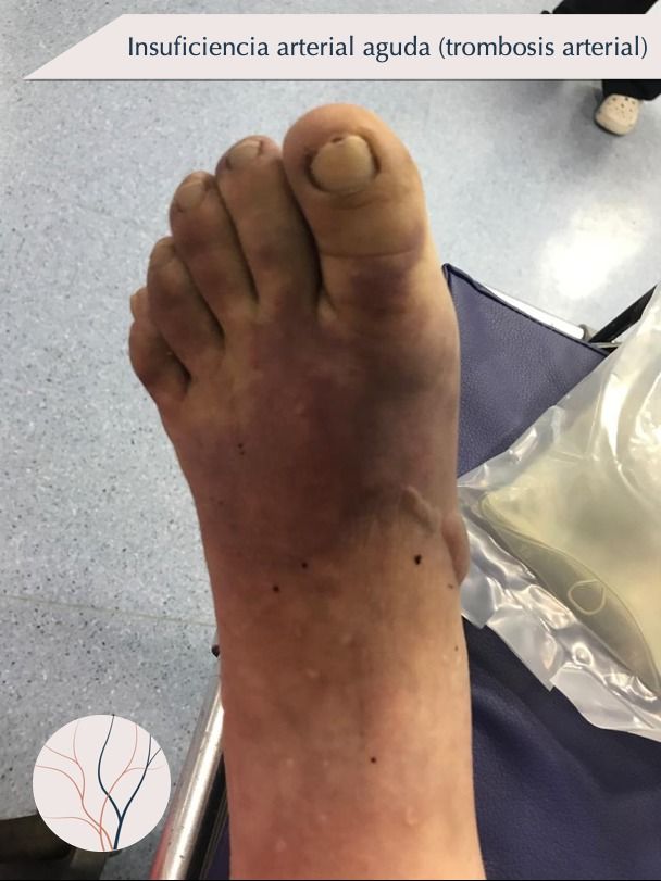 Erika Berenice Ramírez Pérez-7