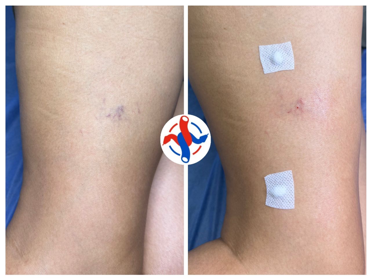 José Reyes Gómez Romo-11