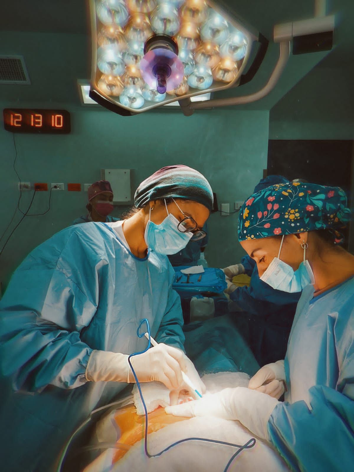 Ana Paula Cardona Grillo-3