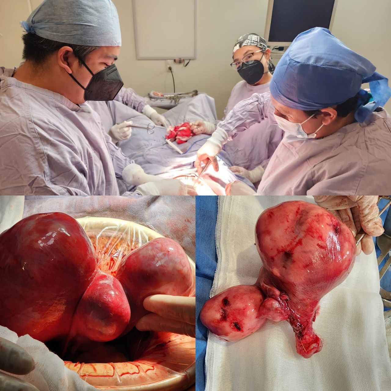 Moises Juda Ramos Abarca-2