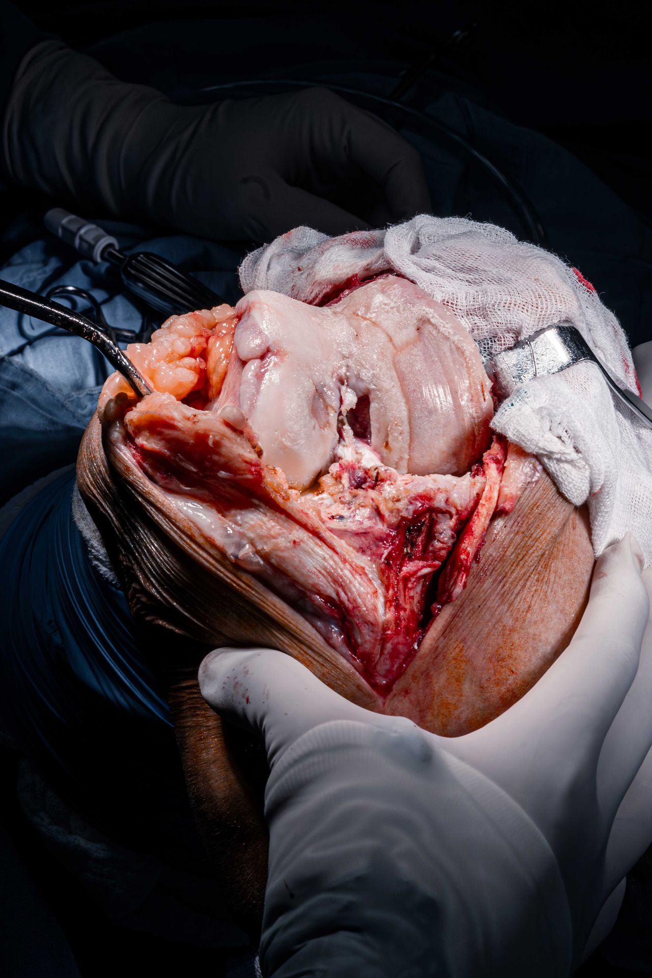 Gustavo Cayetano Baez-1