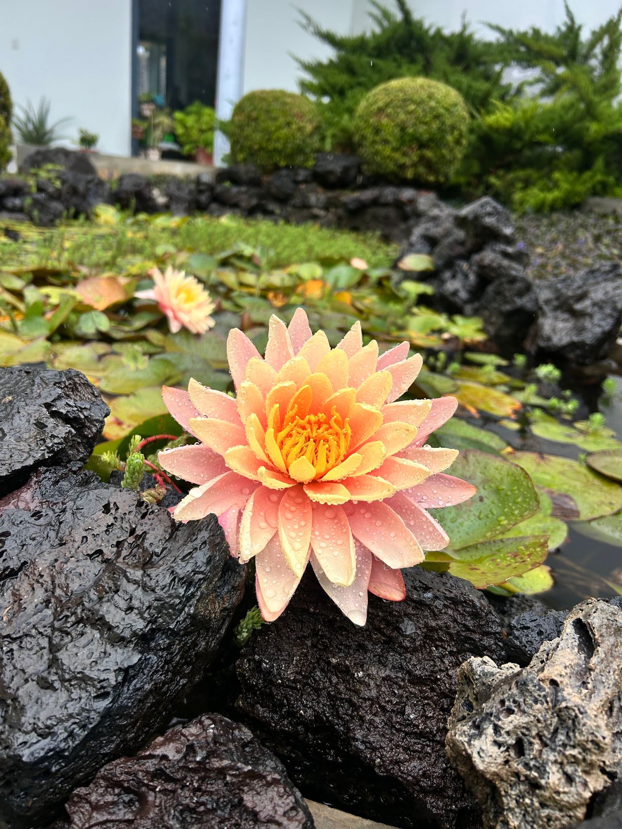 Luis Enrique López González-1