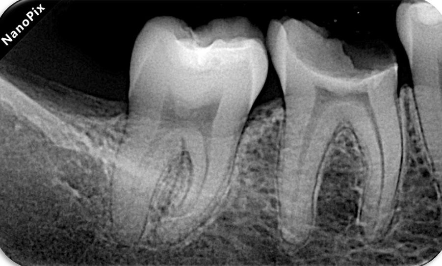 Carlos Daniel Carrillo-5
