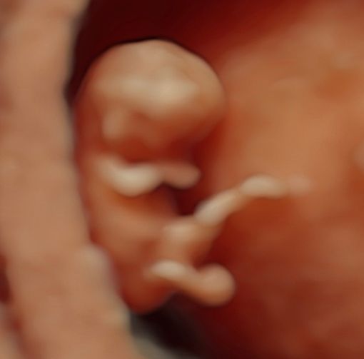 Gustavo Gómez Sánchez-1