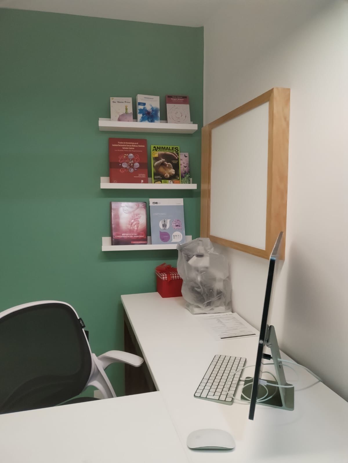 César Omar Vargas Serafín-2