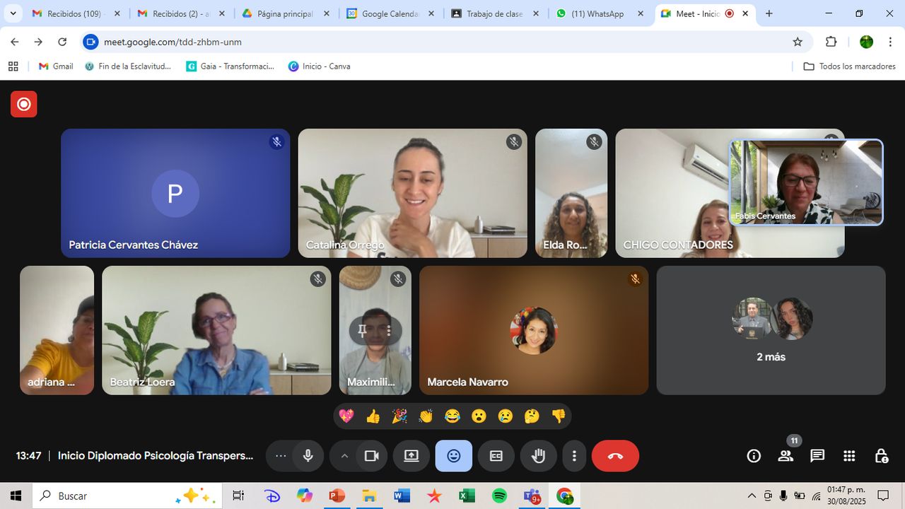 Fabiola Cervantes Chávez-1