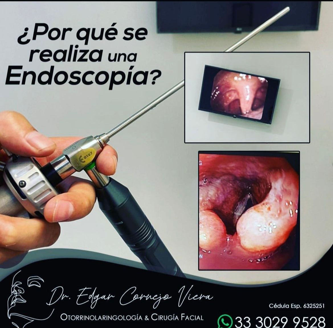 Edgar Cornejo Viera-0