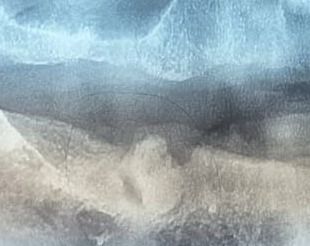 Rodrigo Magallón-12