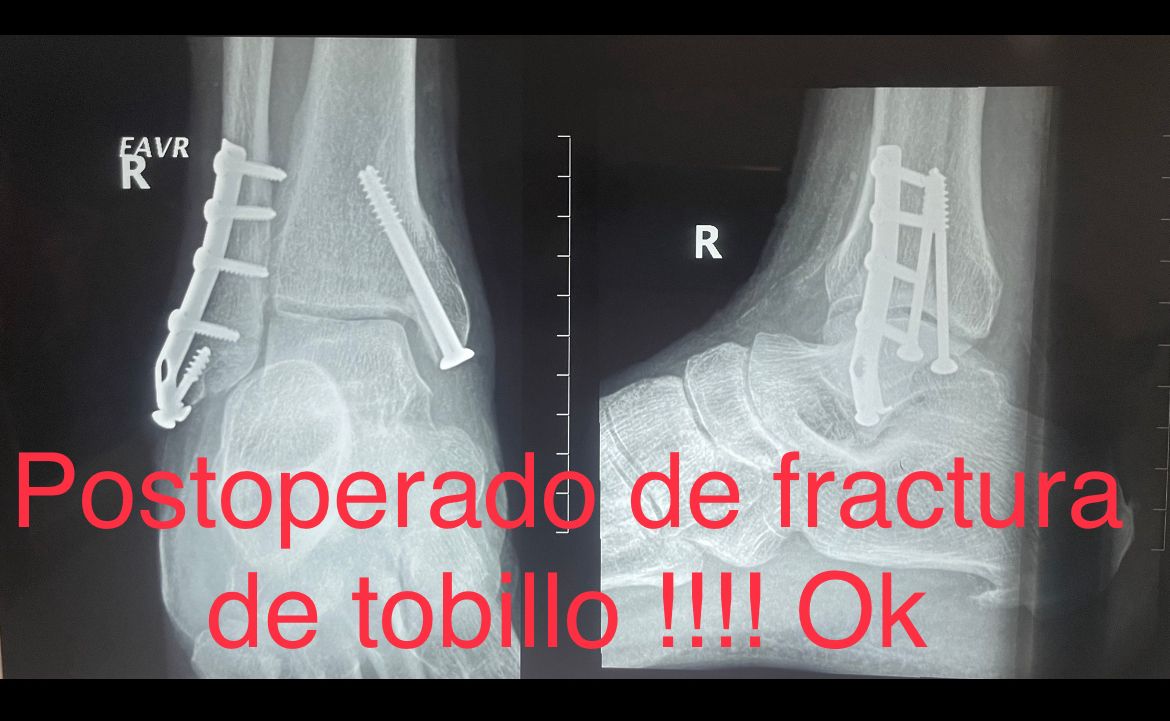 Emmanuel Bolaños Cortes-19