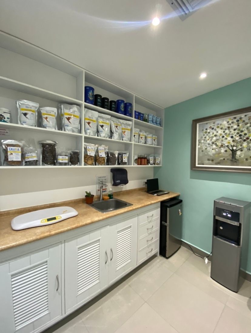 Ana Paulina Herrera López-1