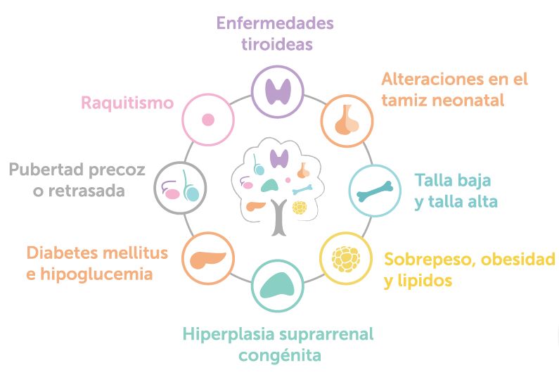 Ana Paola De Cosio Farias-3