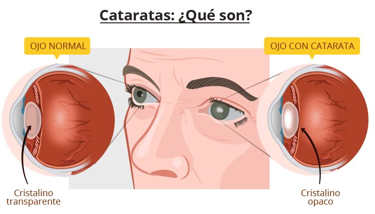 Jesus Luna Briceño-11