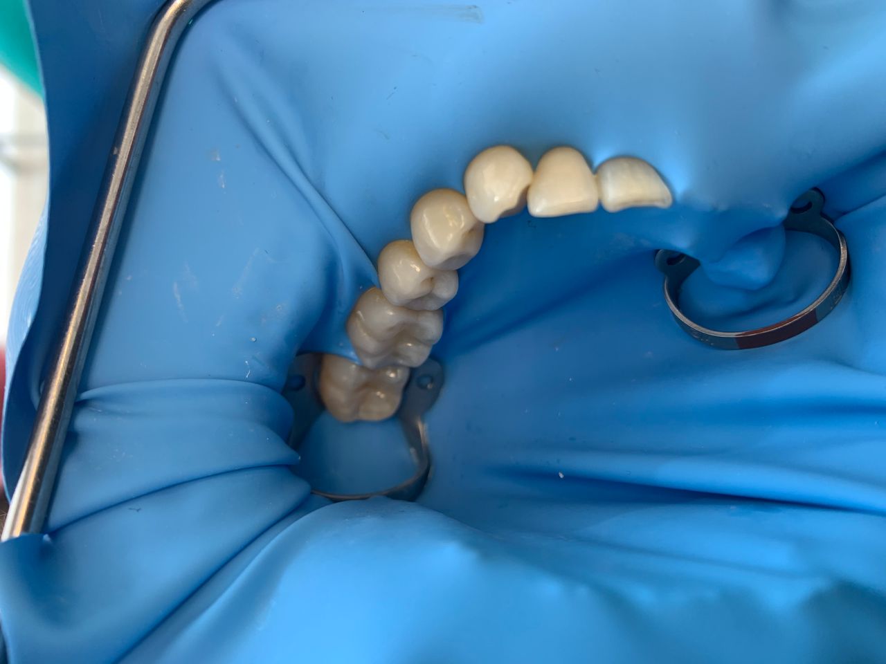 Daniela Martínez García-12