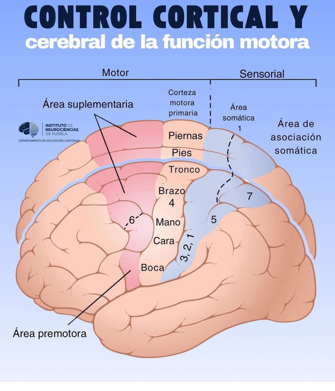 Miriam Emilia Reyes Martinez-11