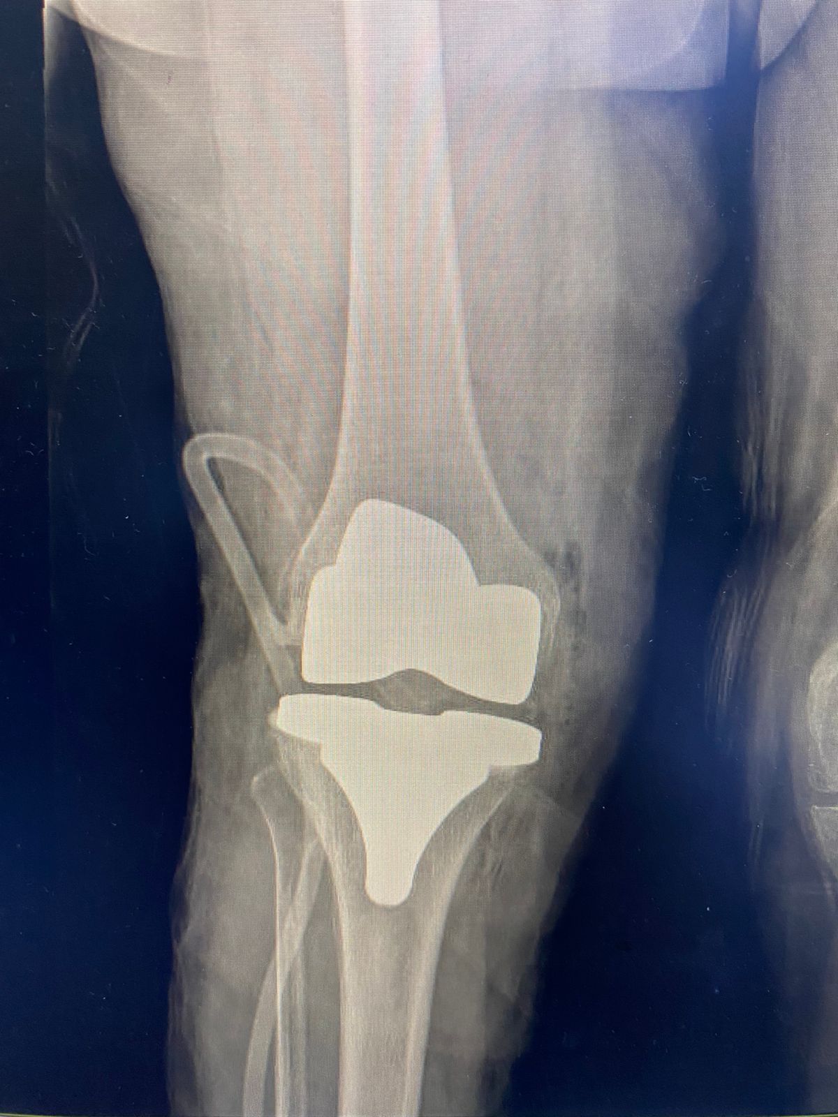 Viridiana Mena Villalobos-2