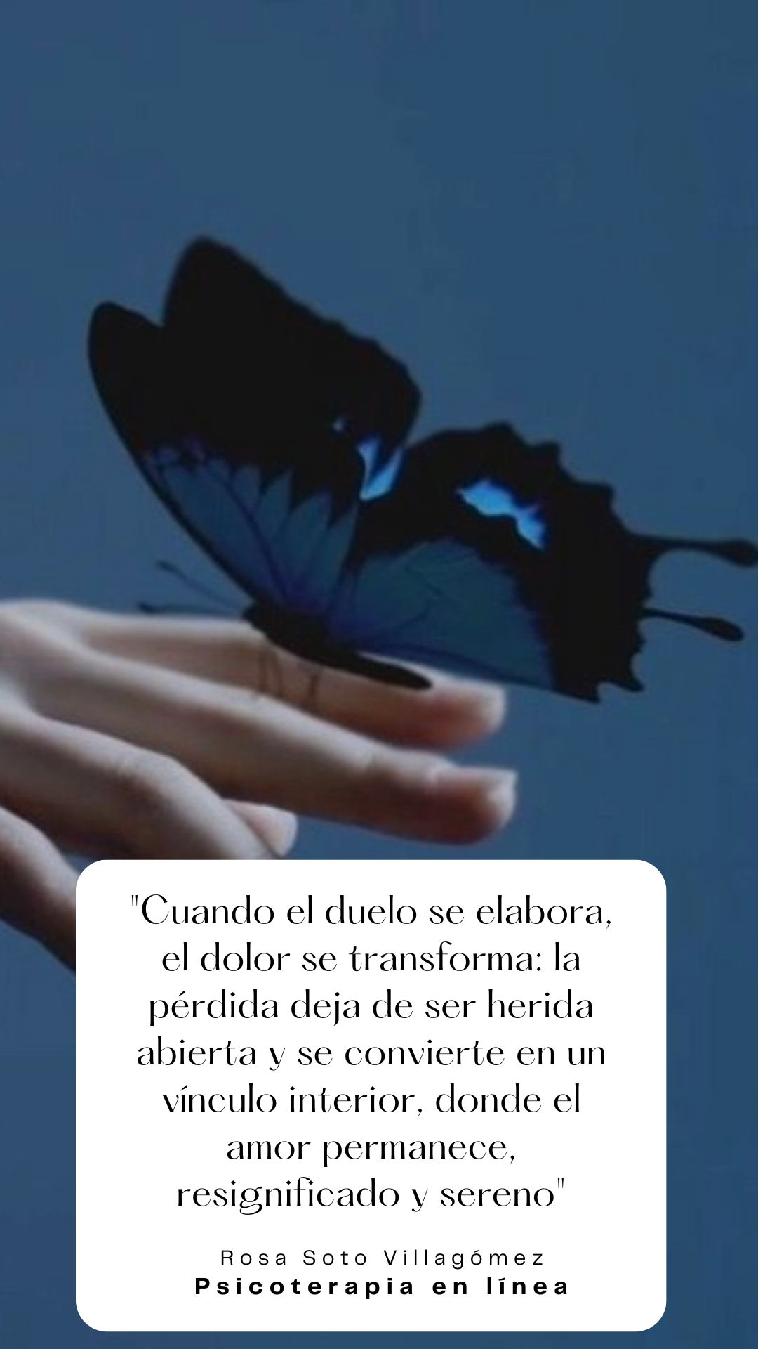 Rosa Soto Villagómez-5