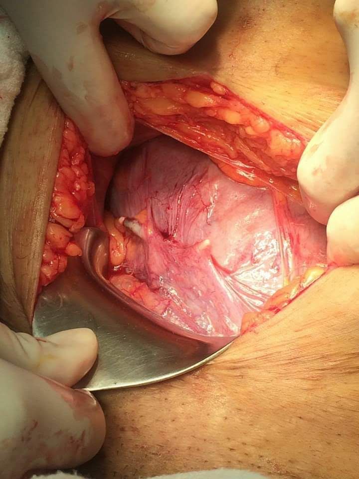 Marisol I. Alvarez Carrasco-24