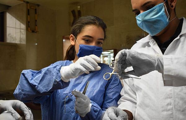 Alfredo Rebolledo Desales-2