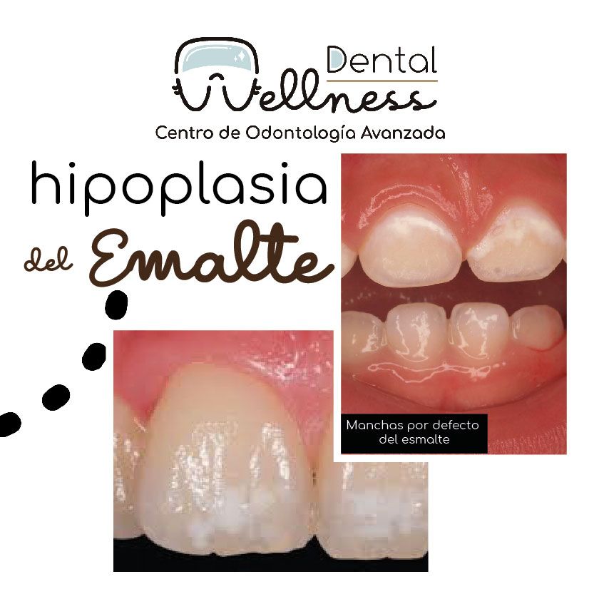 Leticia Hernández-18