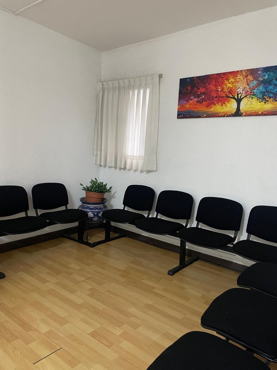 Maria Lidia Sánchez-6