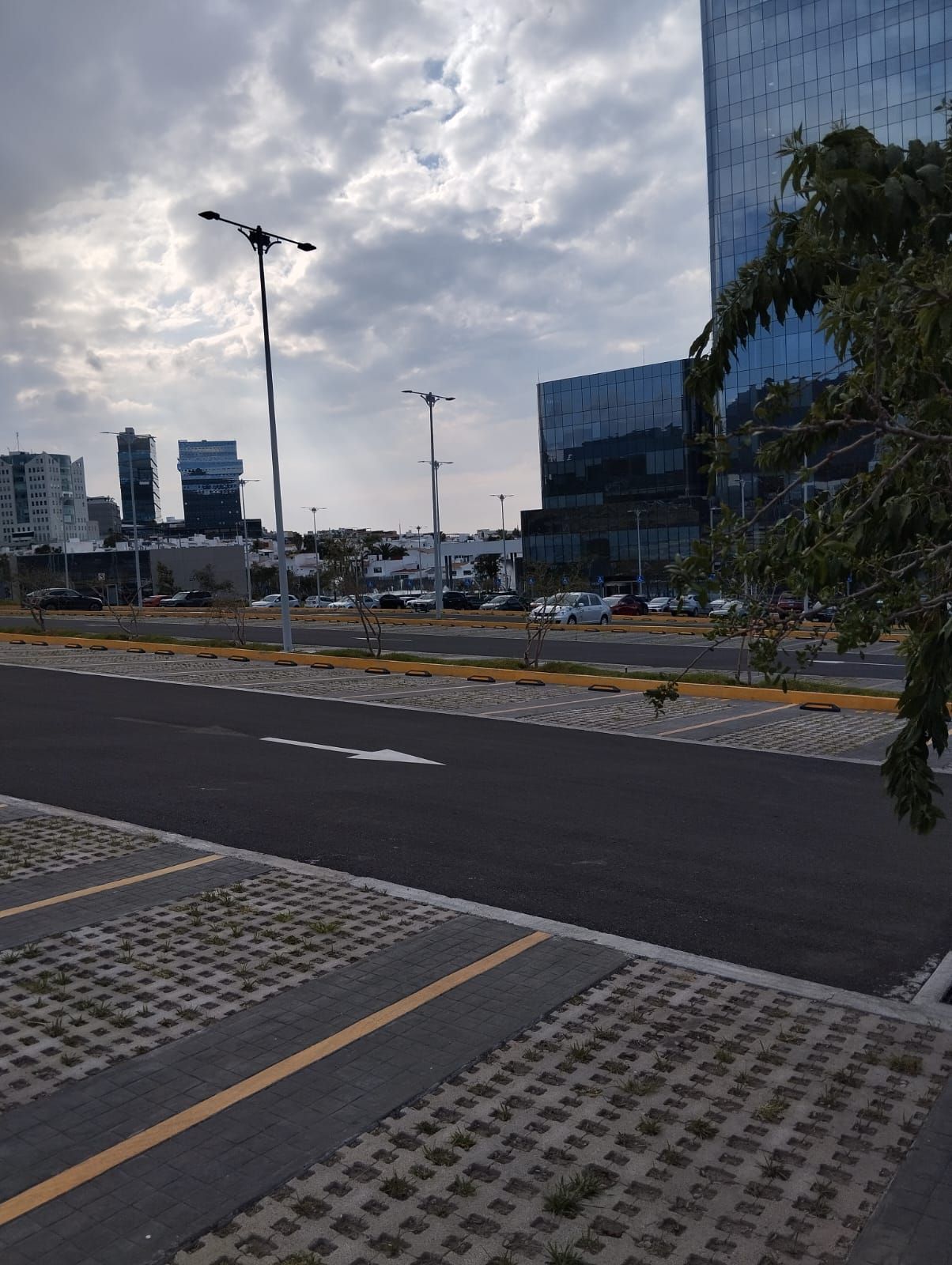 María Teresa Cibrian Pichardo-2