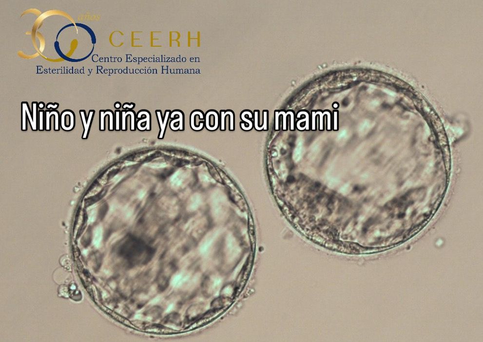 Renata Madrid Zavala-27