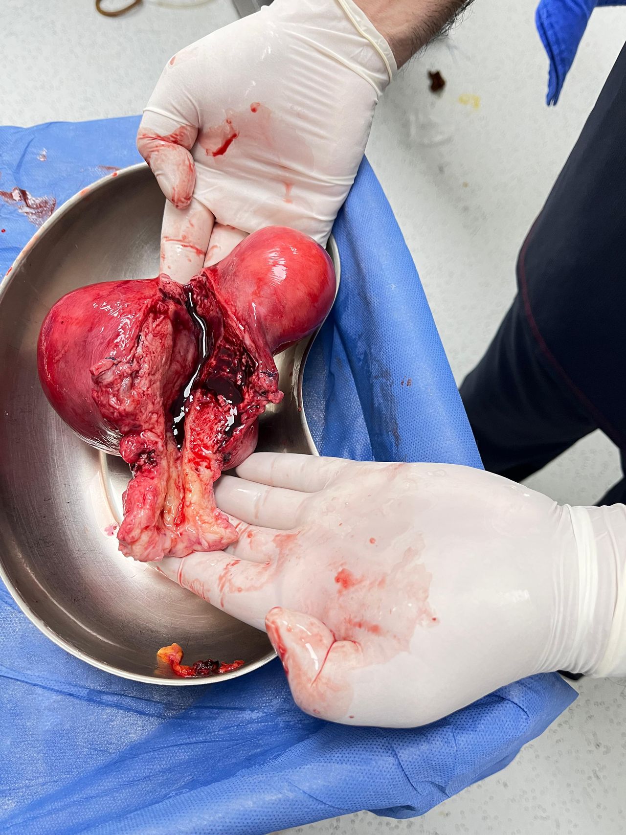 José De Jesús Moreno Albor-7