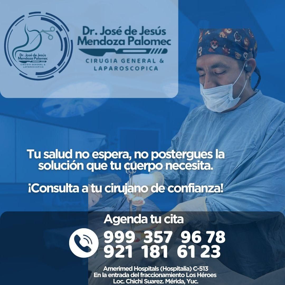 José De Jesus Mendoza Palomec-8