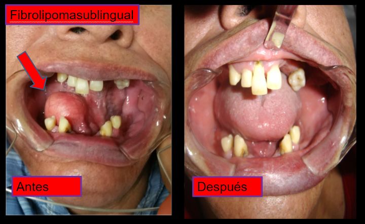 Diana Araceli Dávila Hernández-12