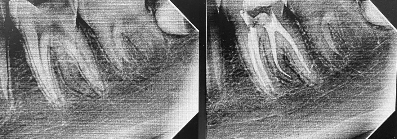 Karla Rocio Hernández Salazar-3