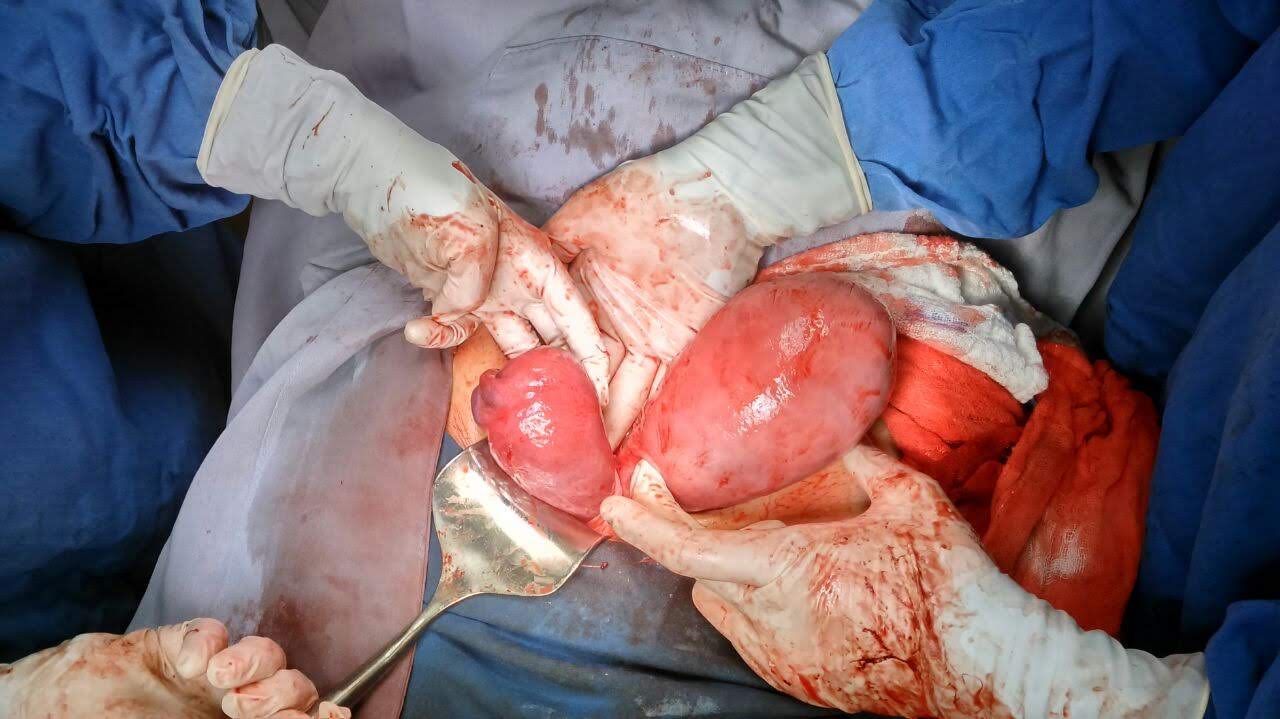 María Cristina Hernández Jiménez-1