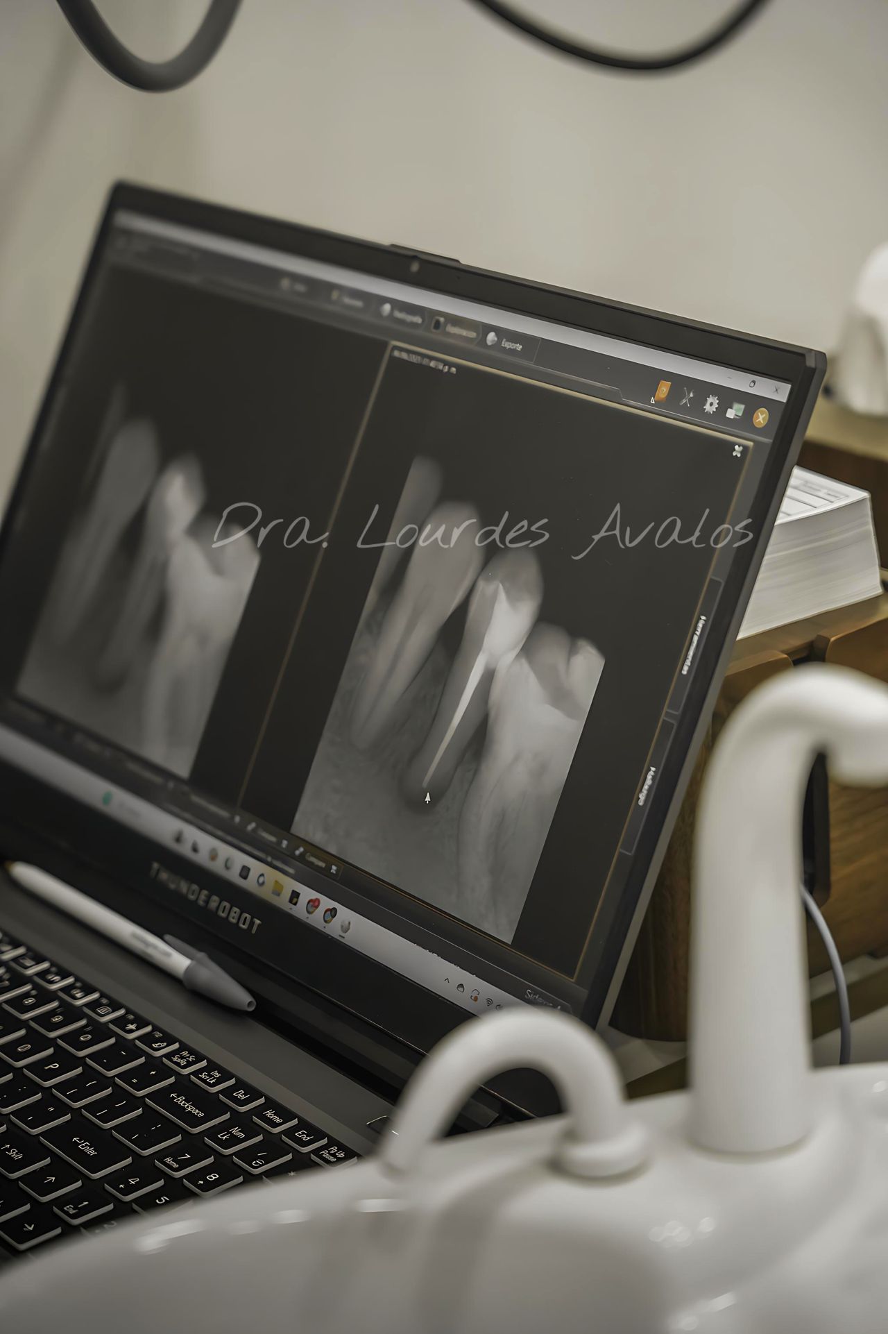 Lourdes Avalos Piña-7