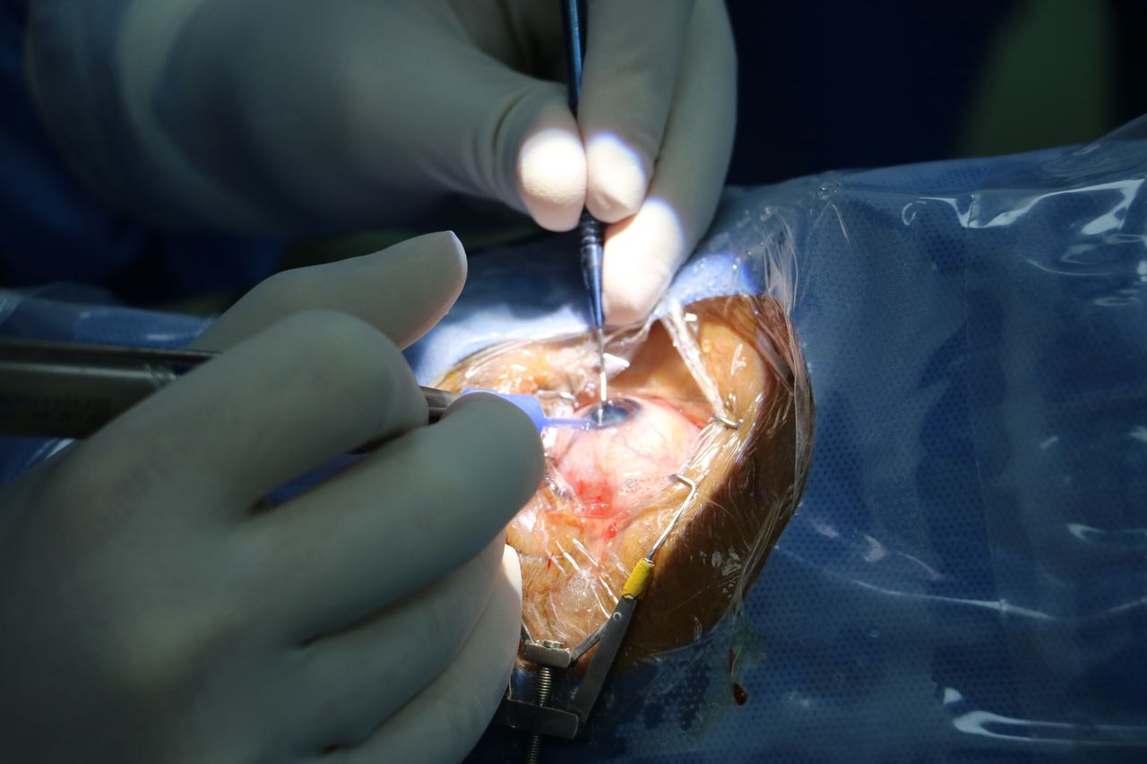 Bernardo Ramos Vadillo-4