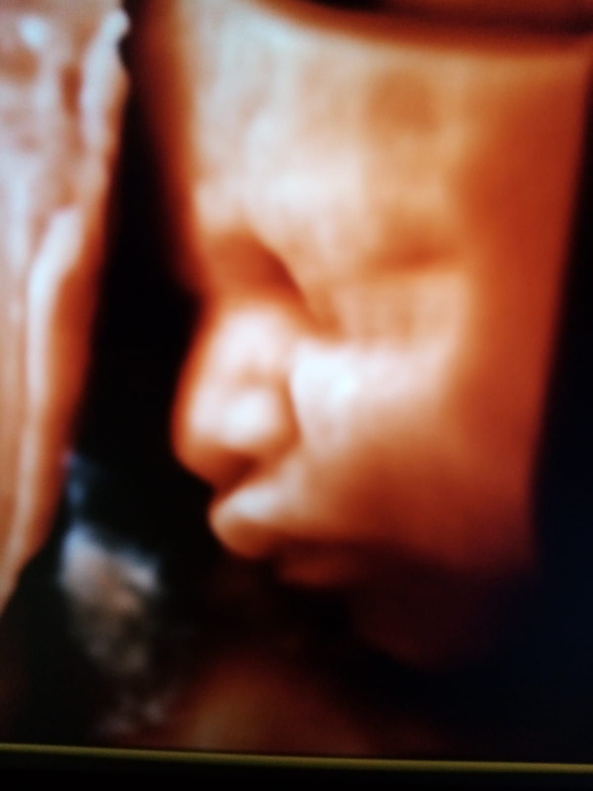 Carlos Gabriel Briones Vega-10