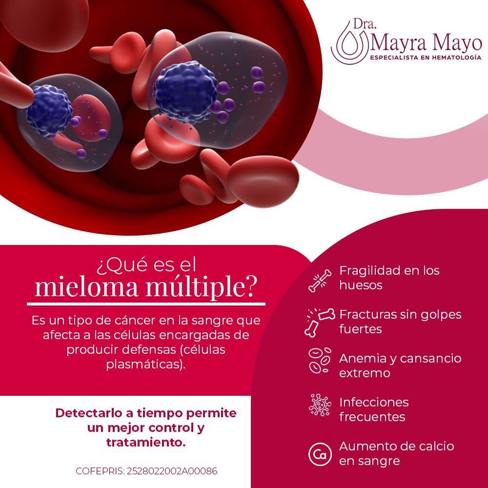 Mayra Lizbeth Mayo Martinez-4