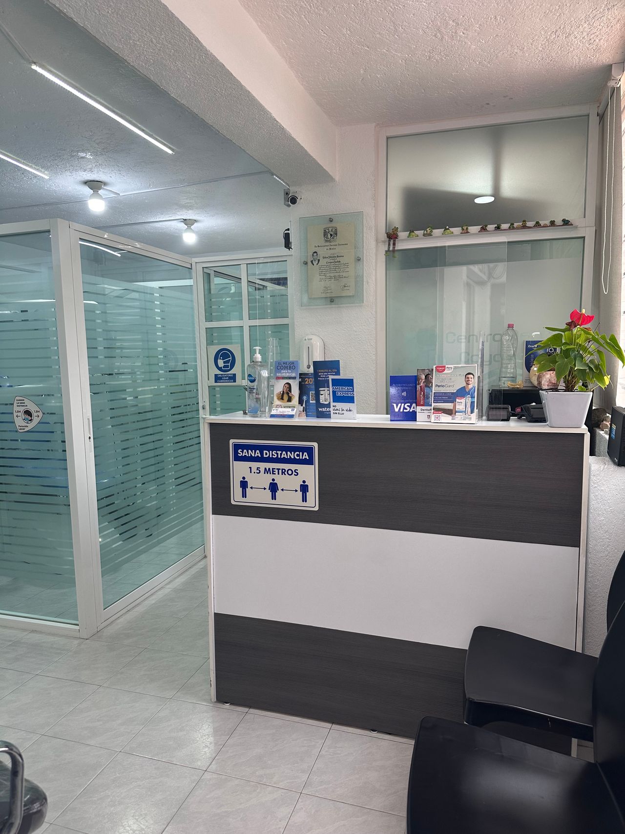 Leticia Villalobos Jiménez-2