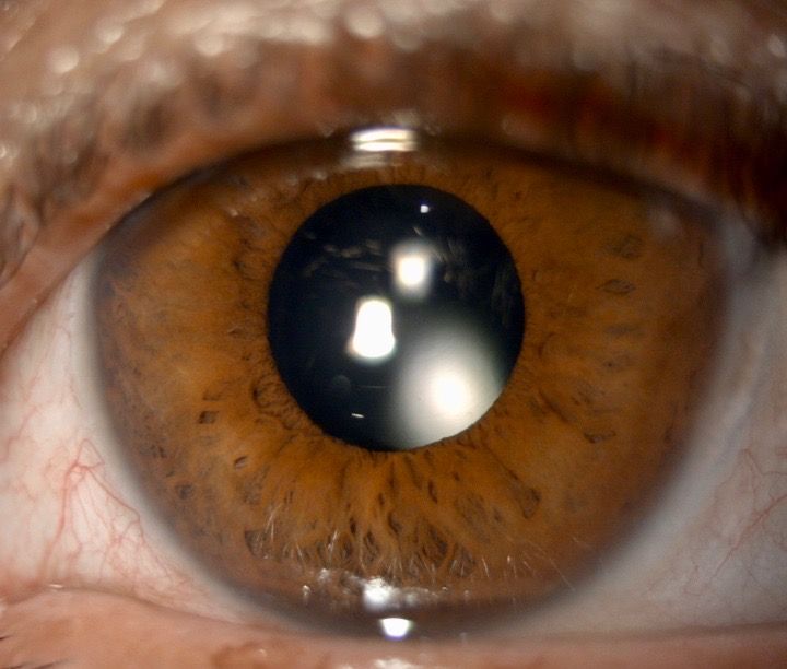 Alma Lorenia Márquez Vázquez-7