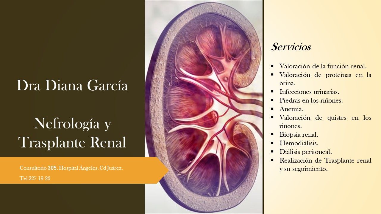 Diana García Velásquez-12