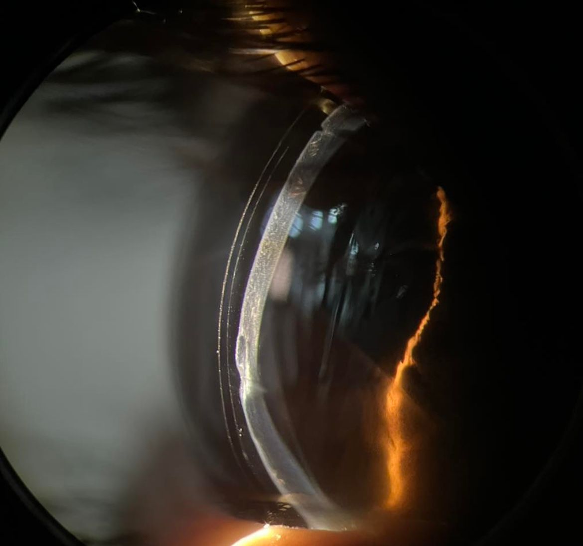 Omar Flores Cárdenas-5