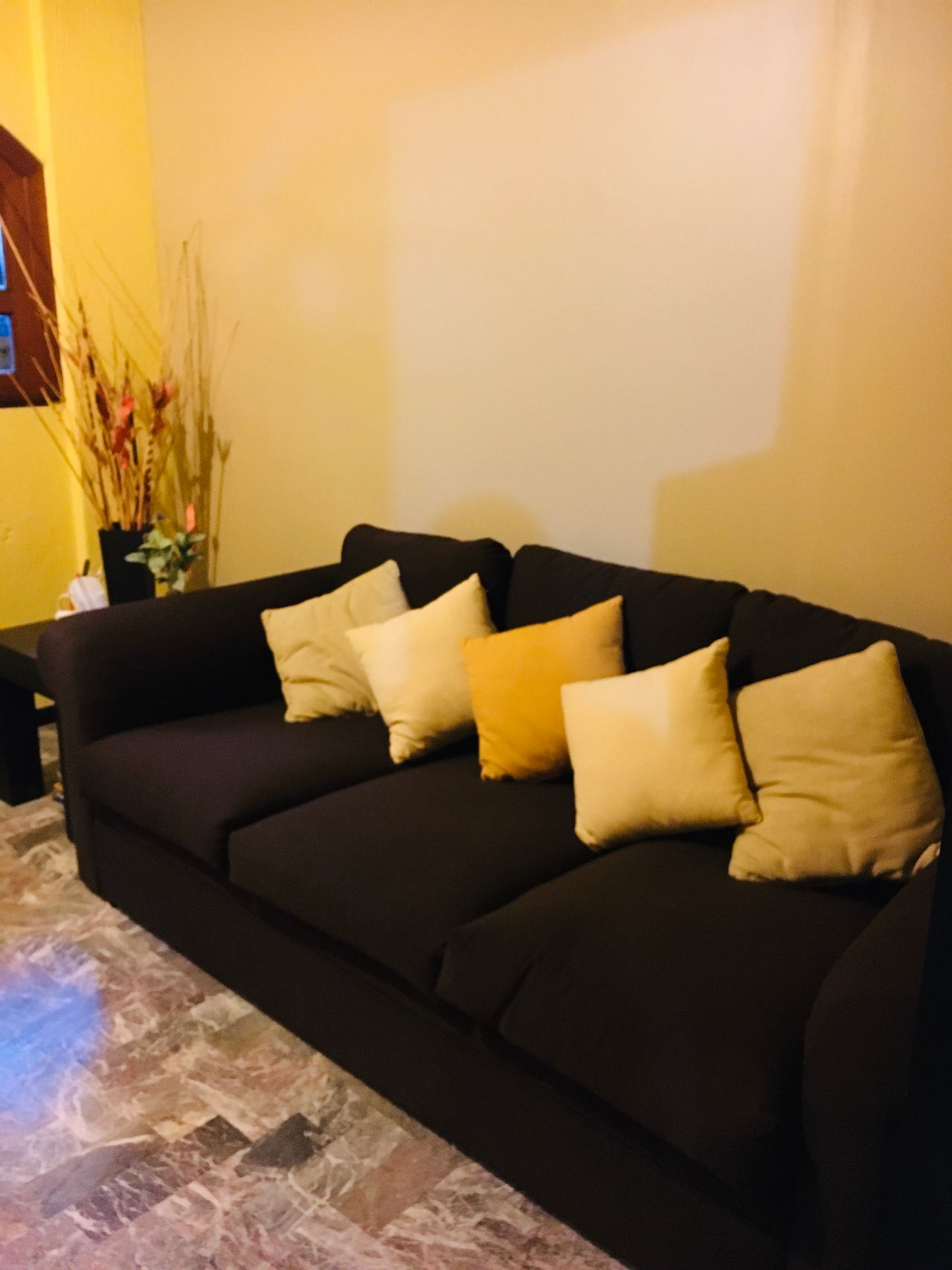 Eugenia Ponce De Leon-0