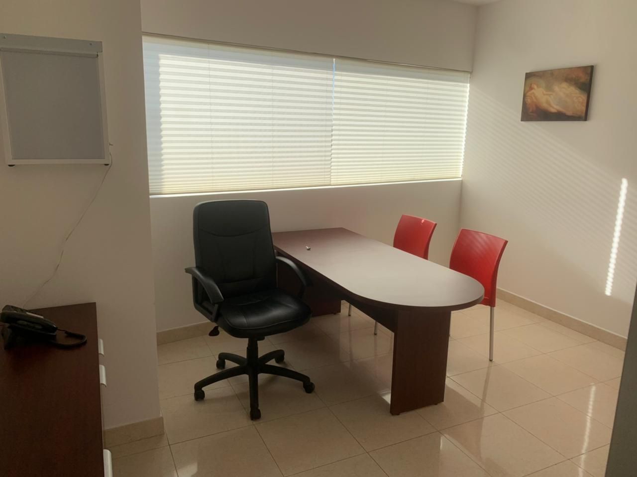 Alejandro Taboada Cole-8