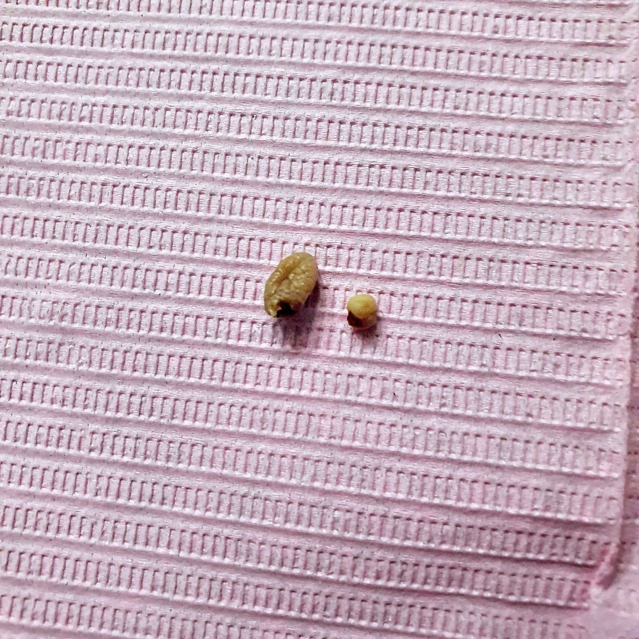 Fabiola Arcos Huesca-42