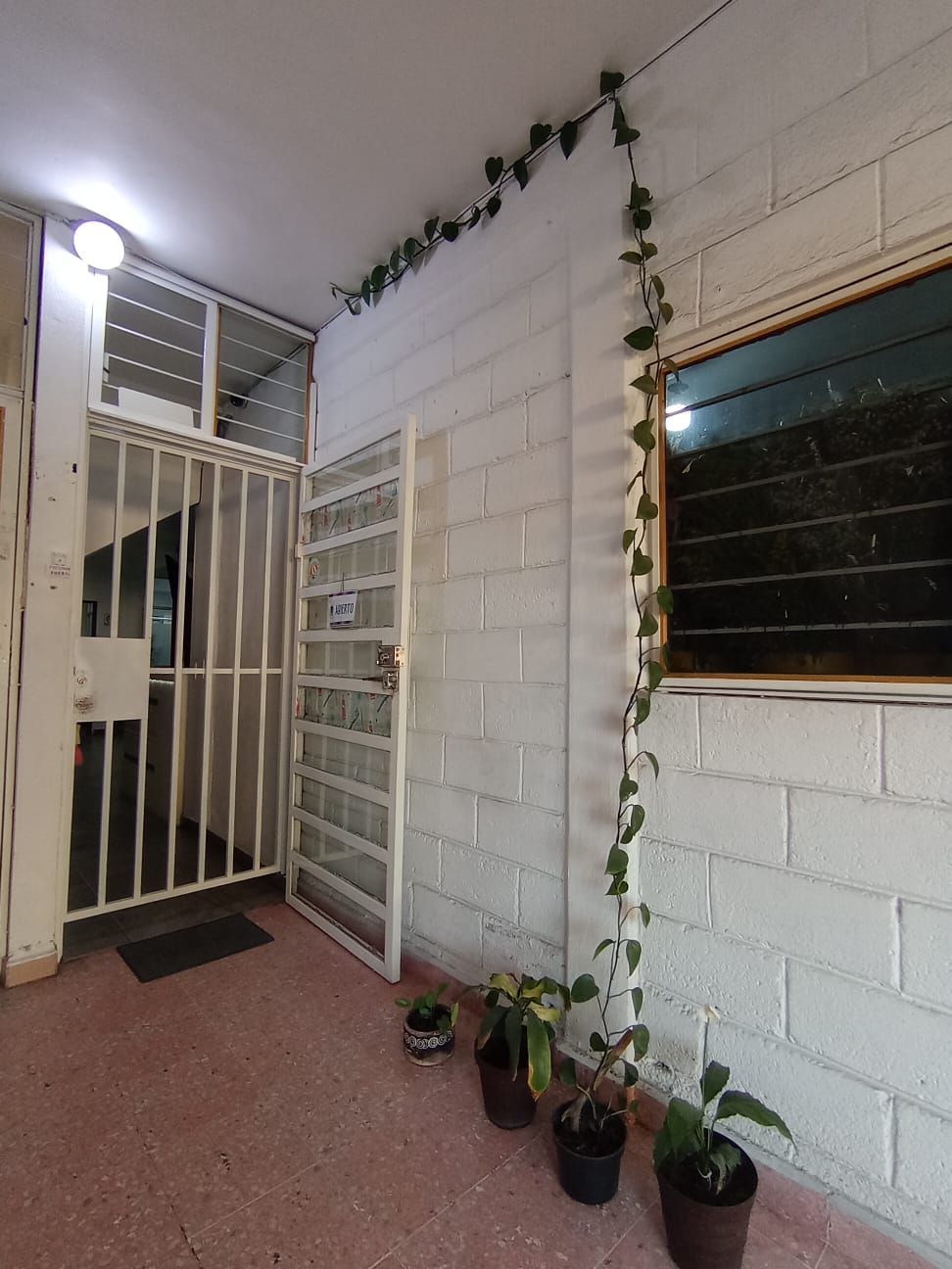 Mario Alberto Bañuelos Ortiz-0