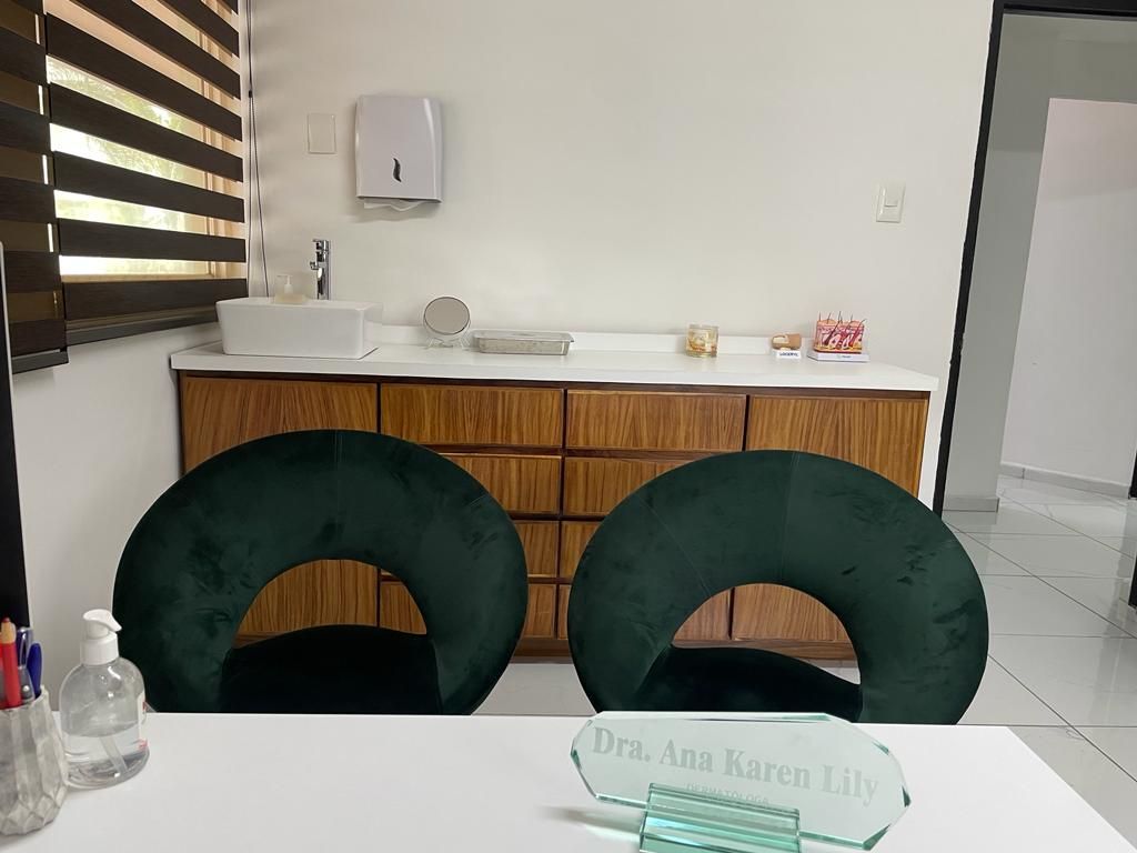 Ana Karen Lily Vidal-3