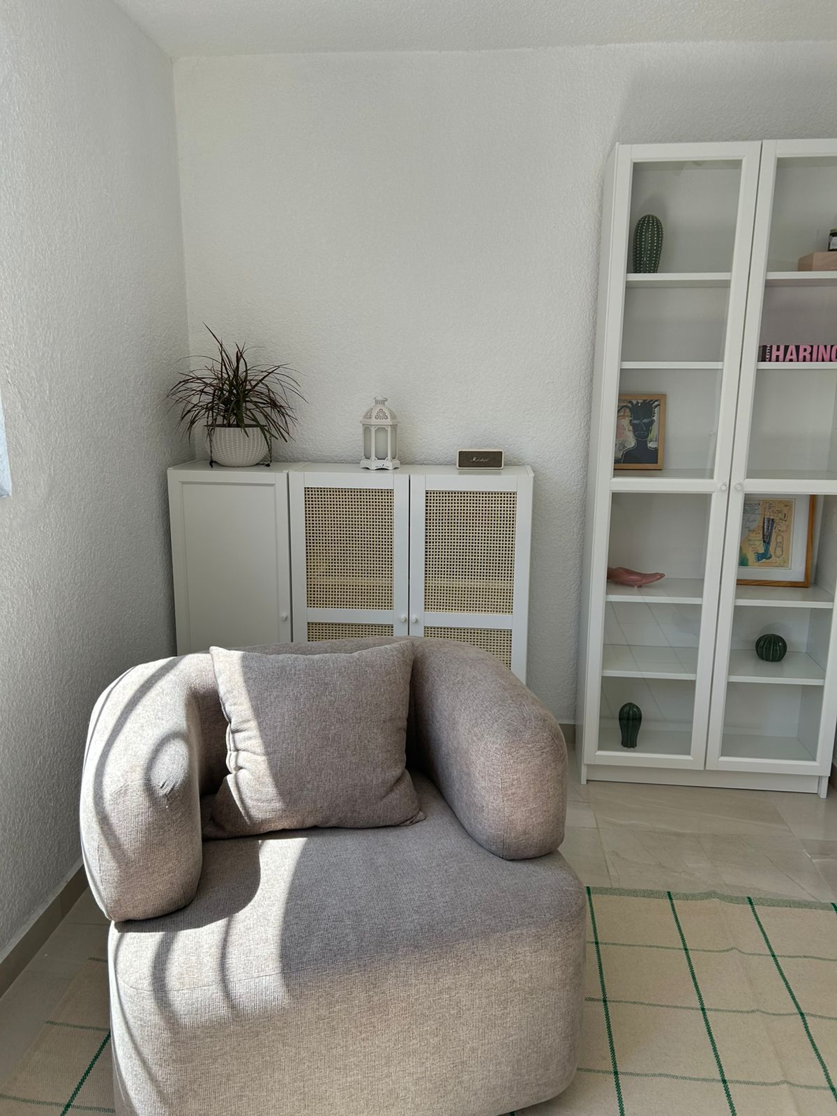 Miguel Peña Aceves-2