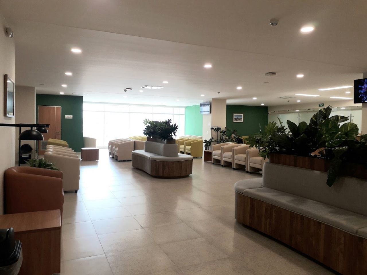 Gonzalo Lira Moreno-9