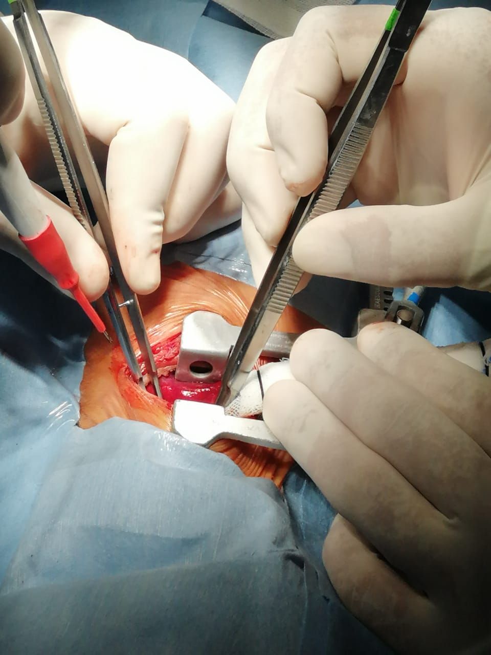 Oscar Jesus Gutiérrez Camarena-0