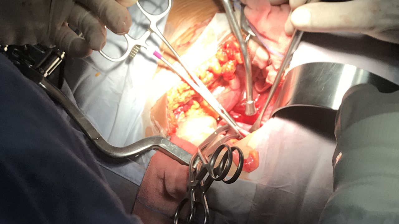 Jose Arturo Varela Gutierrez-10