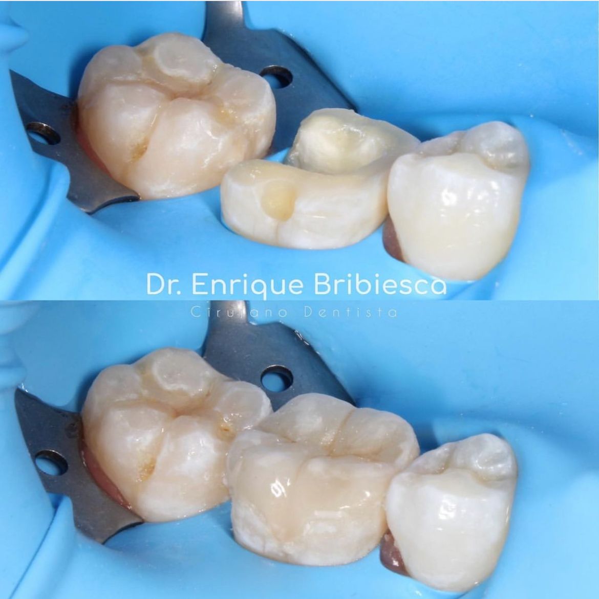 Jose Enrique Bribiesca-3